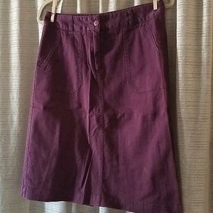 Purple Knee Length Skirt